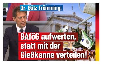 Bild: AfD Deutschland