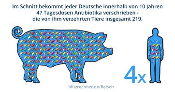 Eines der größten Probleme der intensiven Tierzucht ist der hohe Einsatz von Antibiotika.  Bild: Blitzrechner Fotograf: www.blitzrechner.de