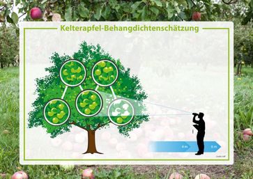Bild: VdF Verband der deutschen Fruchtsaft-Industrie Fotograf: VdF e. V.