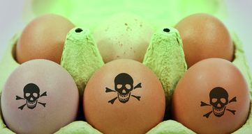 Giftige Eier aus giftiger Hühnerhaltung