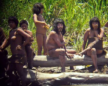 Noch nie zuvor wurden unkontaktierte Indianer aus dieser Nähe aufgenommen. © D. Cortijo/Survival Bild: Survival International Deutschland e.V. (openPR)