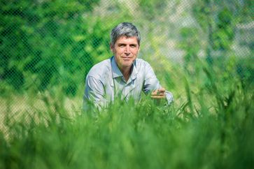 Testete mit einem internationalen Forscherteam die Ertragsmodelle von Weizen: Prof. Dr. Frank A. Ewert vom Institut für Nutzpflanzenwissenschaften und Ressourcenschutz der Universität Bonn. Quelle: Foto: Volker Lannert/Uni Bonn (idw)