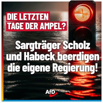 Bild: AfD Deutschland