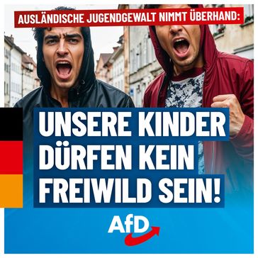 Bild: AfD Deutschland