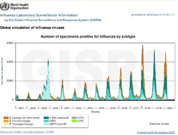 Seit auf COVID19 getestet wird gibtt es weltweit keine Influenza Viren mehr - angeblich!