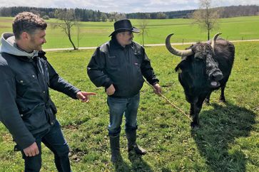 Thomas Lamparter (l.) will ein Leder aus Biohäuten herstellen. Er besucht den Bauer Willi Wolf (r.) auf dessen Weide in Hohenstein. Bild: ZDF Fotograf: Felix Franz