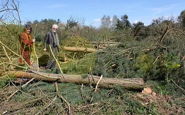 Täglich gehen in Deutschland rund 1,5 Mio. m2 Land unwiderbringlich verloren durch Errossion, Neubaugebiete, Straßen, etc.