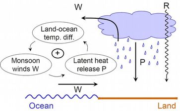 Skizze des Modellkonzepts und des Rückkopplungsmechanismus [W = Wind, P = Niederschlag, R = Sonneneinstrahlung] Bild: PIK