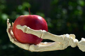 Skeletthand mit Apfel