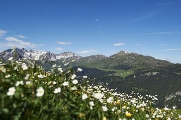 Bild: Arosa Tourismus