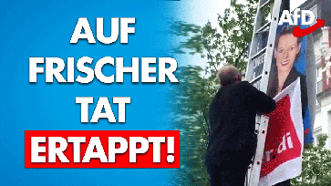 Bild: AfD