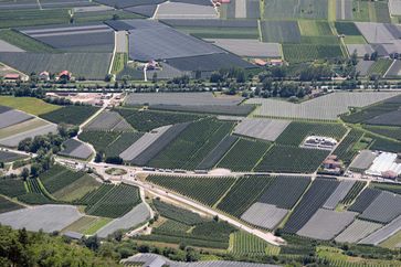 Mit rund 18.400 Hektar ist Südtirol das größte geschlossene Apfelanbaugebiet in der EU.  Bild: ZDF Fotograf: Jörg Farys