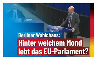 Bild: AfD Deutschland