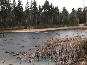 Die Einbruchstelle nach der Rettung