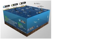 Bild: Coast Guard Illustration of Deepwater Horizon Response - June 6, 2010