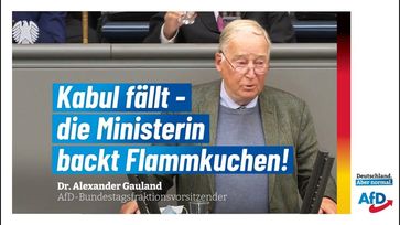 Bild: AfD Deutschland