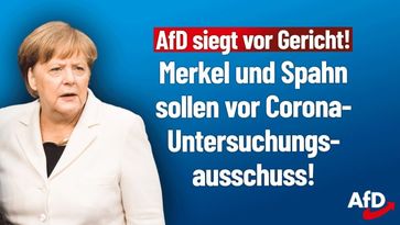 Bild: AfD Deutschland