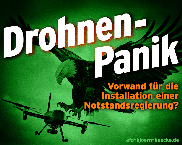 Bild: Screenshot Internetseite: "https://afd-bjoern-hoecke.de" / Eigenes Werk