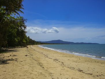 Daintree-Nationalpark