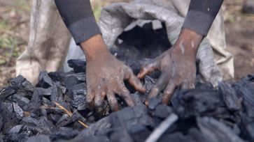 Holzkohle-Herstellung in Nigeria: Das ist Handarbeit. Bild: "obs/ZDF/Jonathan Happ"