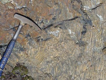 Gefaltete 3,8 Milliarden Jahre alte Bändereisenerze in der Isua Region, West-Grönland
Quelle: Prof. Bau / Jacobs University (idw)