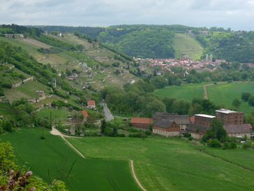 Saale-Unstrut: Weinanbau bei Freyburg