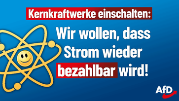 Bild: AfD Deutschland