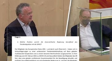 Bild: Screenshots (2): YouTube (Bildzitat); Komposition: Wochenblick / Eigenes Werk