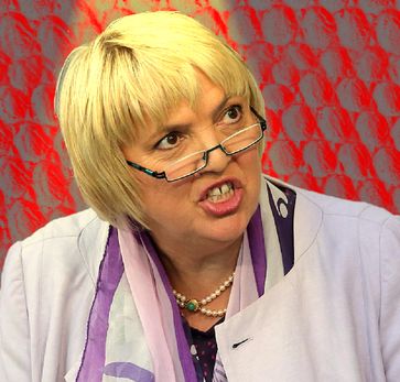 Claudia Roth (2015), Archivbild