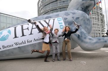 Bild: IFAW - Internationaler Tierschutz-Fonds