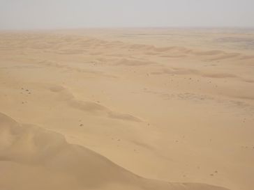 Dünenfeld in Nord-Mauritanien