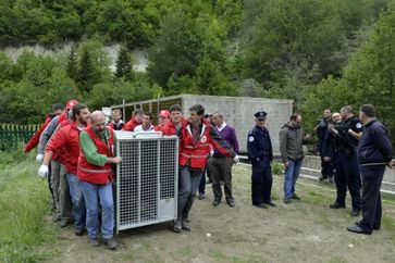 Viele Helfer sind nötig, um eine Bären-Transportbox zu tragen, Rugova Valley, Kosovo. Bild: VIER PFOTEN, Mihai Vasile