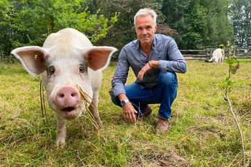 Hannes Jaenicke im Gnadenhof "Land der Tiere" in Mecklenburg-Vorpommern. Bild: ZDF Fotograf: ZDF/Markus Strobel