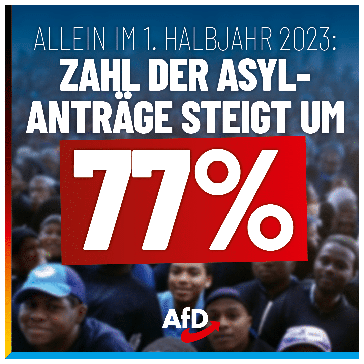 Bild: AfD Deutschland