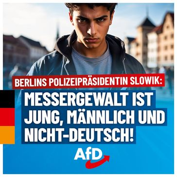 Bild: AfD Deutschland