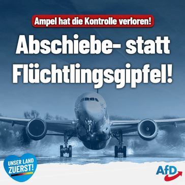 Bild: AfD Deutschland