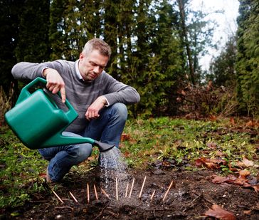 Michael Stausholm, Gründer und CEO von Sprout World  Bild: Sprout World Fotograf: Sprout World