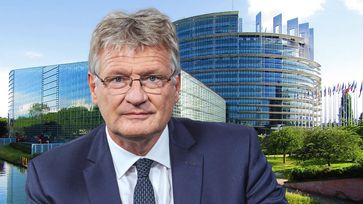 Prof. Dr. Jörg Meuthen (2020)