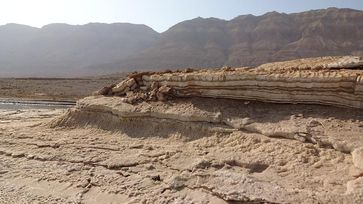 Uferbereich auf der Israelischen Seite des Toten Meeres nahe En Gedi. Man sieht die verschiedenartig geformten Salzkrusten und Salz-Ton-Wechsellagerungen sowie die dramatische Seespiegelabsenkung Quelle: TU Bergakademie Freiberg / Mandy Hoyer (idw)