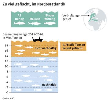 Die nachhaltigen Fangmengen für Makrele, Hering und Blauen Wittling wurden in den letzten Jahren um 4,8 Millionen Tonnen überschritten Bild: Marine Stewardship Council (MSC) Fotograf: Marine Stewardship Council (MSC)