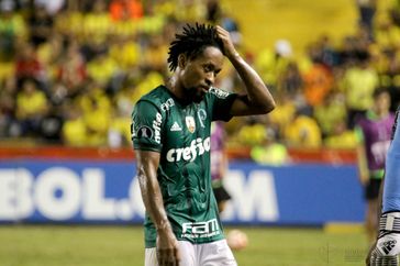 Zé Roberto  (2017)