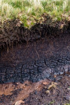Gesunde Böden können sehr viel Wasser speichern. Bild: Johannes Aßlaber - stock.adobe. Fotograf: Johannes Aßlaber