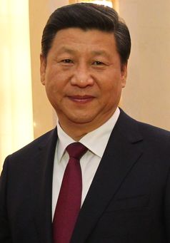 Xi Jinping, 2013