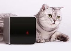 Petcube mit Katze: keine einsamen Haustiere mehr als Ziel. Bild: petcube.net