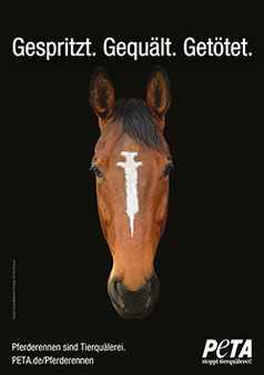 Pferderennen sind Tierquälerei Bild: Design: Dana Mulranen • Image: © Paul Smyres