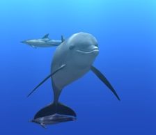 "Digifish Dolphin" von S.A.D.