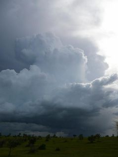 Lokaler Regen braut sich zusammen (Mali, Sahel)
Quelle: "F. Guichard & L. Kergoat, AMMA project, CNRS" copyright (idw)