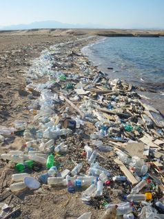 Grober Plastikmüll am Ufer