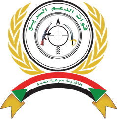 Logo der Rapid Support Forces (RSF)