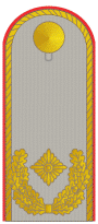 Brigadegeneral  Schulterstück Dienstanzug